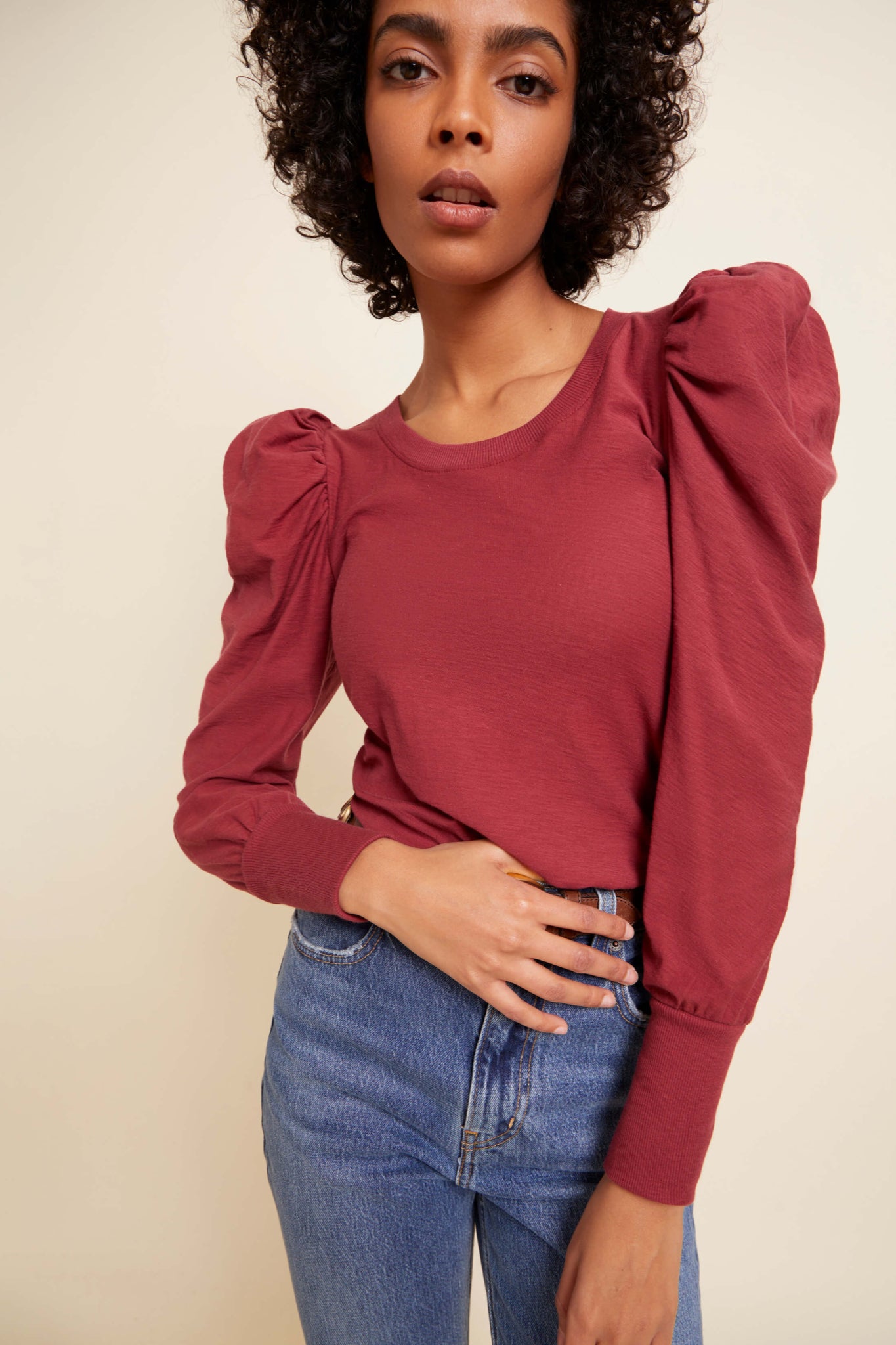 Soft Puff Sleeve Top